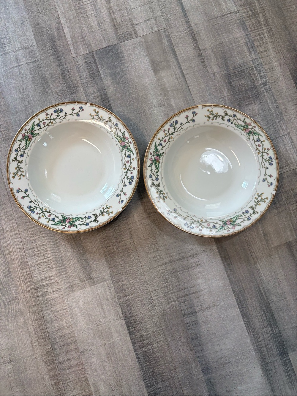 Set of 2 Farberware Wellesley 486 Rim Soup Bowls Fine China Katherine Babarczyk